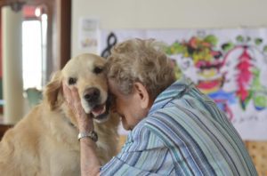 Lire la suite à propos de l’article [NOUVEAUTÉ] Pack Découverte médiation animale – zoothérapie