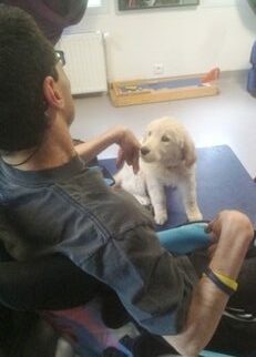Devenir Famille d'accueil chien médiation animale aftaa zoothérapie
