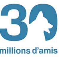 Reportage France 3  – « Zoothérapie contre Alzheimer »