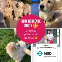 Deux nouvelles recrues pour l’ AFTAA