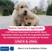 Arrivée de Unick et Uska : les nouveaux petits chiots de l’AFTAA !