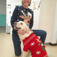 Déguisements de Noël de nos chiens en médiation animale