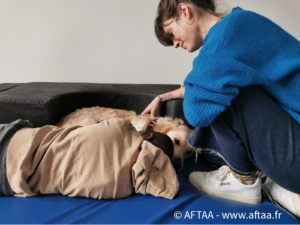 Lire la suite à propos de l’article Aidez nous à prendre soin de Sibelle : Une mission urgente!