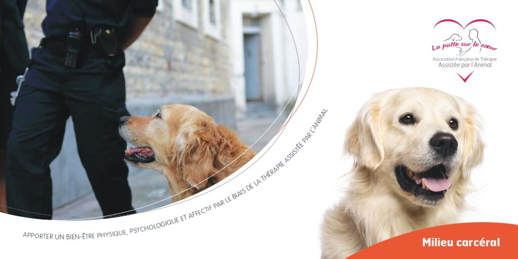 milieu carcéral - prison - médiation animal