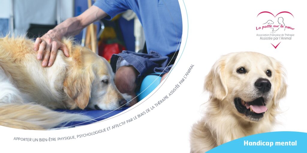 handicap mental - médiation animal