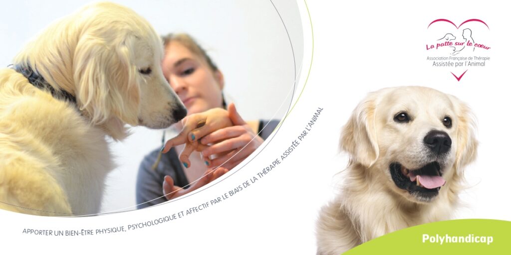 polyhandicap - médiation animal