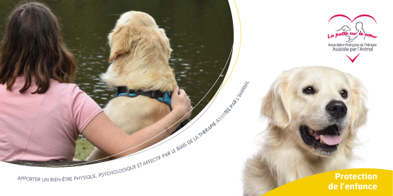 PJJ ASE protection de l'enfance - médiation animal