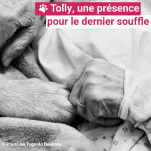 Lire la suite à propos de l’article Accompagner le vivant jusqu’à son dernier souffle