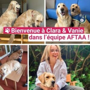 Lire la suite à propos de l’article Une nouvelle intervenante en médiation animale rejoint l’AFTAA à Lyon