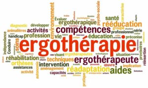 Lire la suite à propos de l’article L’Ergothérapie à l’AFTAA médiation animale