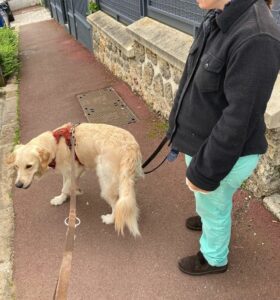 Lire la suite à propos de l’article Séance en Extérieur en médiation animale