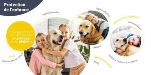 Lire la suite à propos de l’article L’AFTAA et la Protection Judiciaire et l’Aide Sociale à l’Enfance